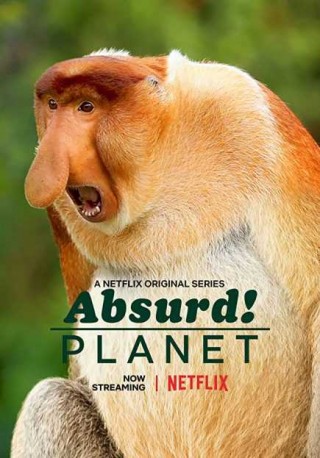 Absurd Planet
