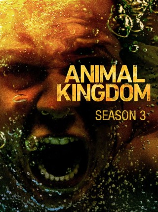مسلسل Animal Kingdom - مسلسل Animal Kingdom - الموسم الثالث