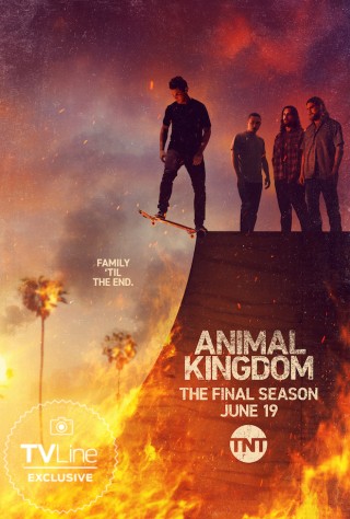 مسلسل Animal Kingdom - مسلسل Animal Kingdom - الموسم 6